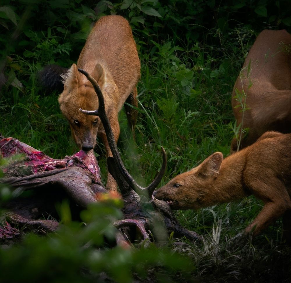 Photograph by Vishal N