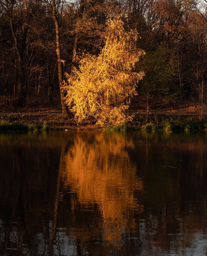 Photograph by Игорь Криулин