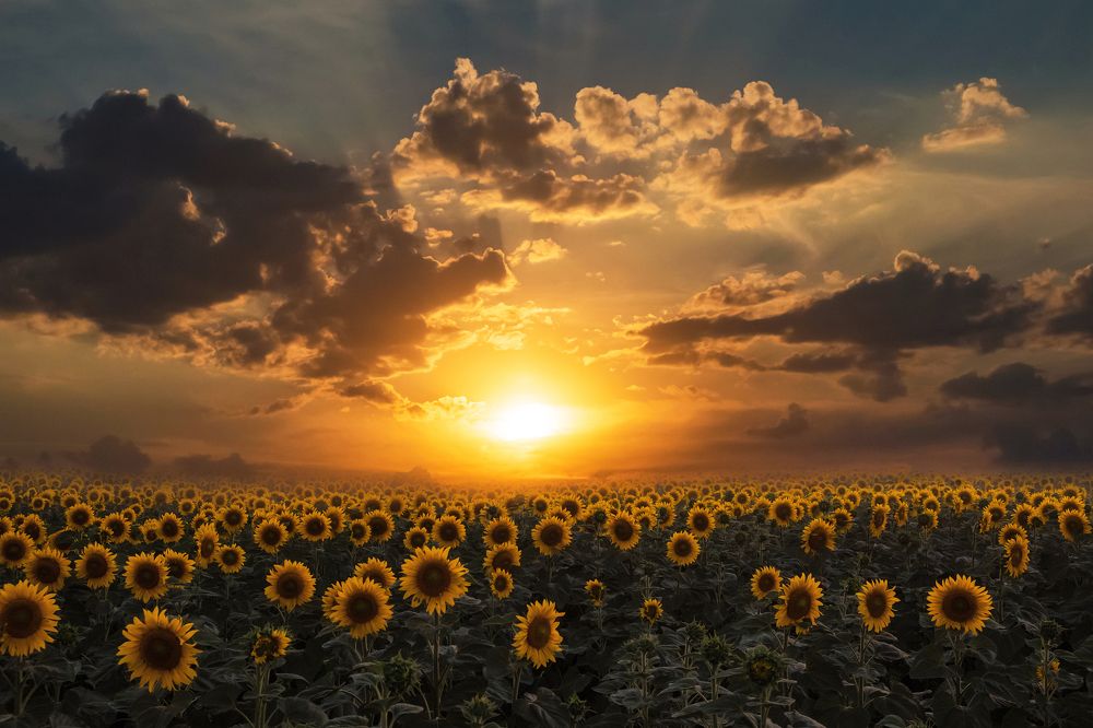 Photograph by Екатерина