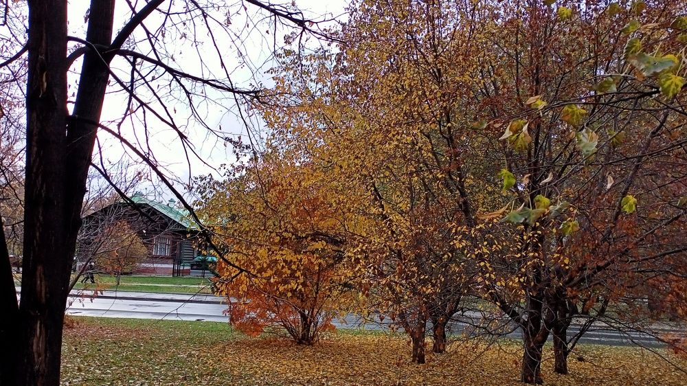 Photograph by olga
