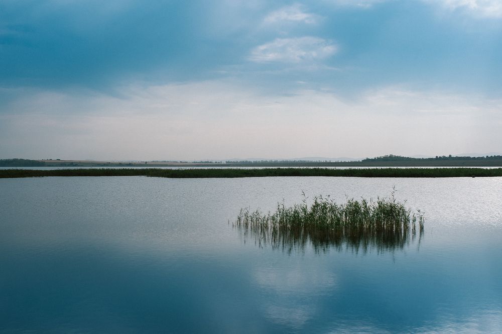 Photograph by Сергеева Марина