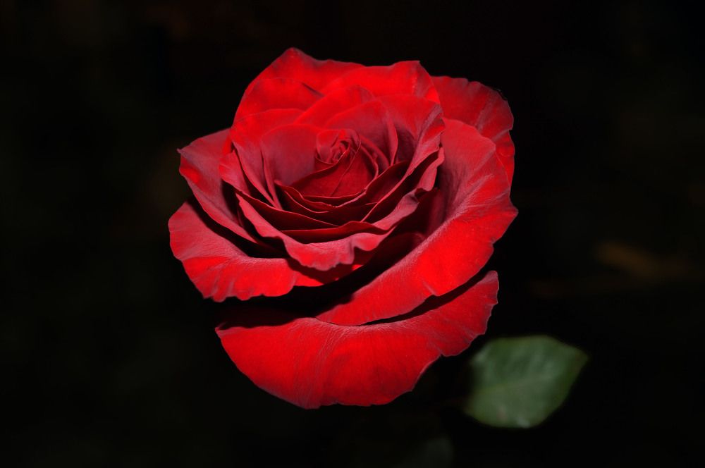 Photograph by Мишустина Татьяна