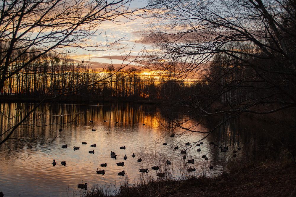 Осенний закат