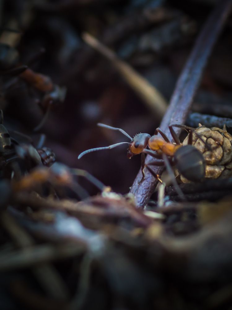 Фотография автора Aleksandr Kadyshev