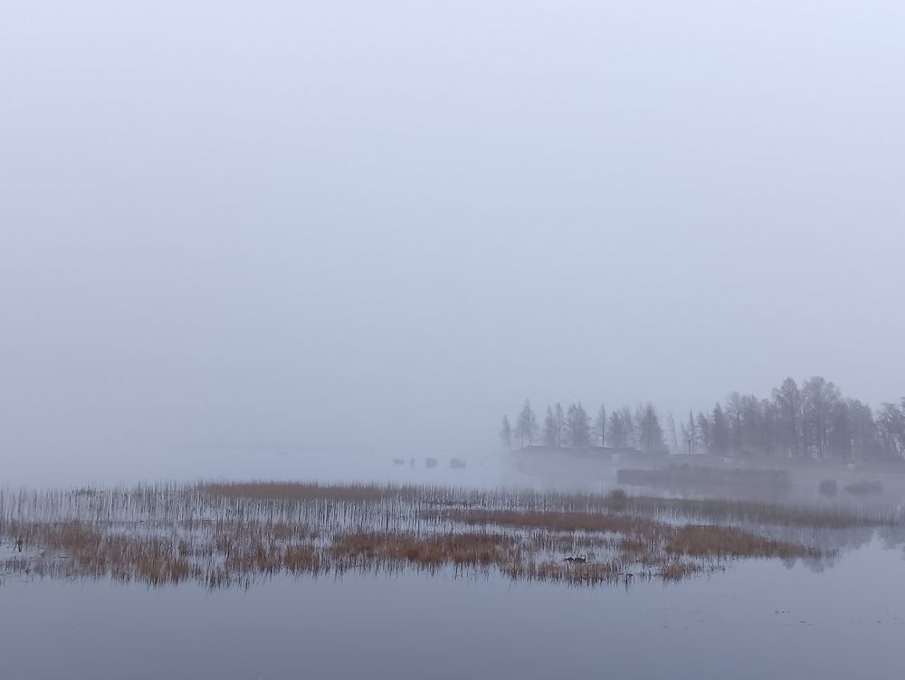 Утро туманное