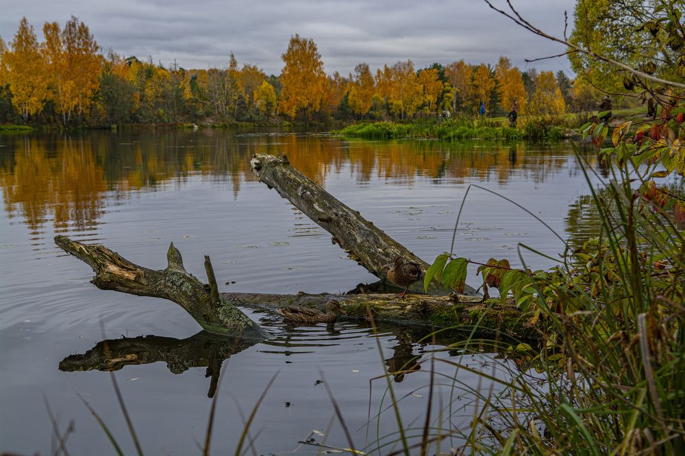 Photograph by Игорь Смирнов