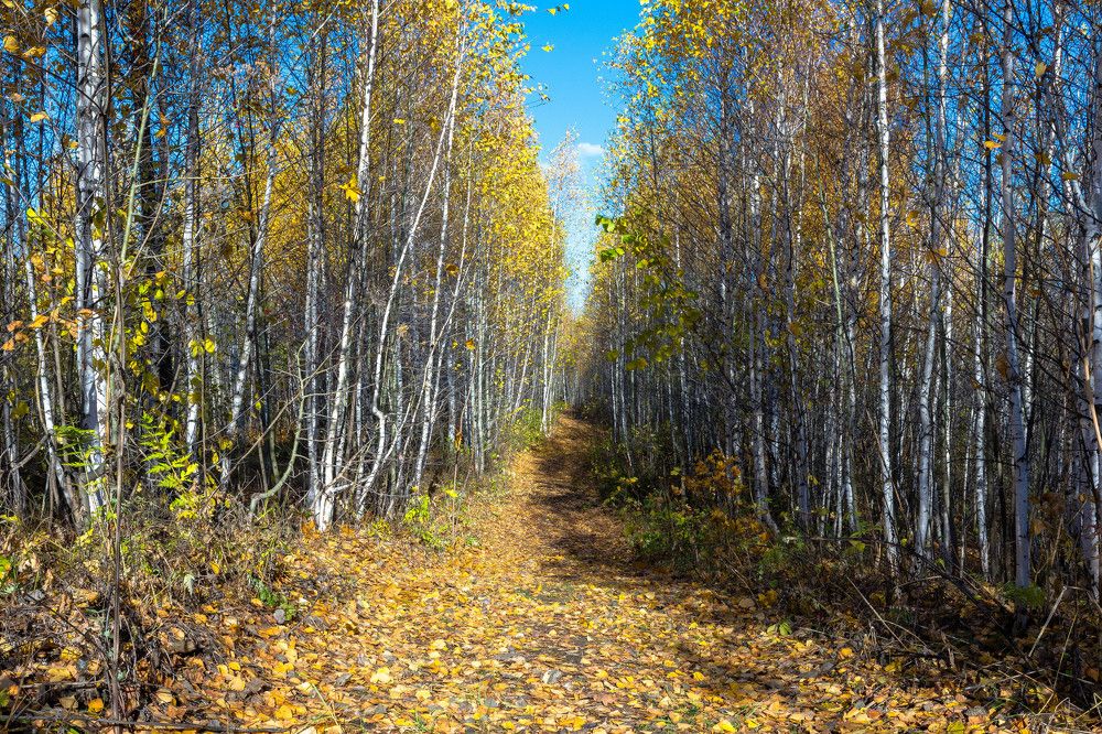 Photograph by Олег Архипов