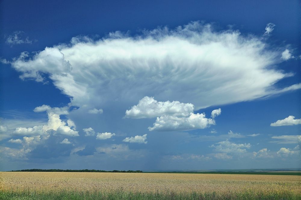 Photograph by Сергей Жданов