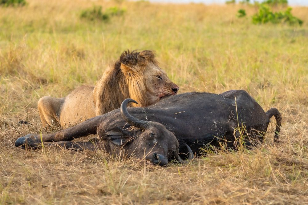 Photograph by Joji Jose