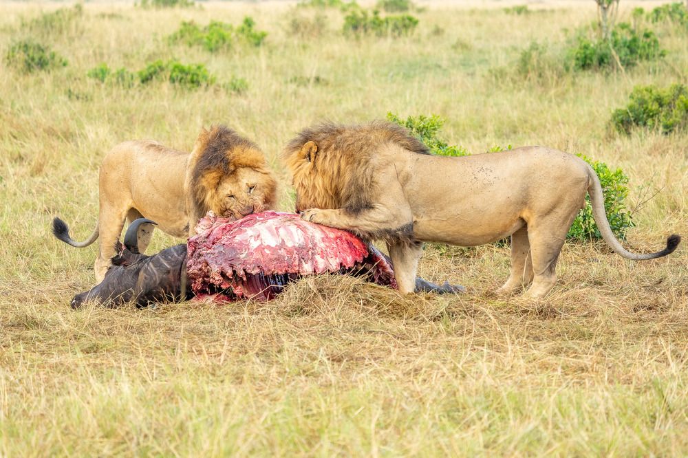 Photograph by Joji Jose