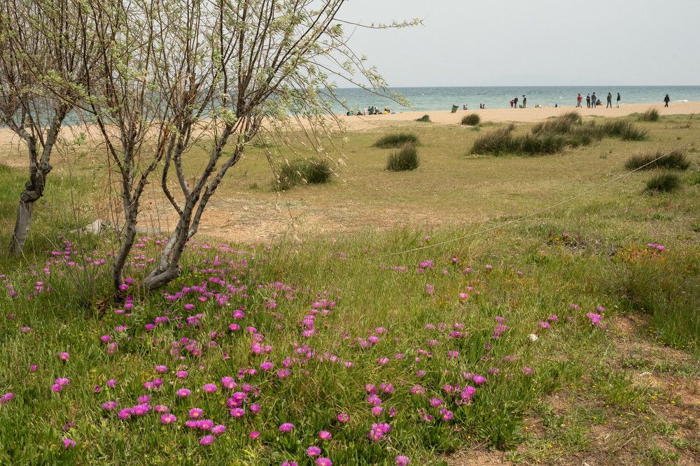 Фотография автора Δημητριος Μπαζιωτοπουλος
