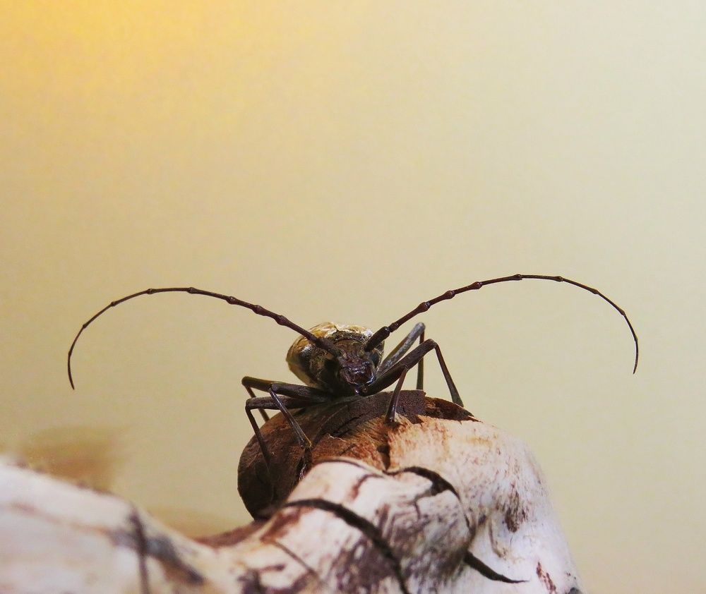 Фотография автора Mahdi Mohammadi