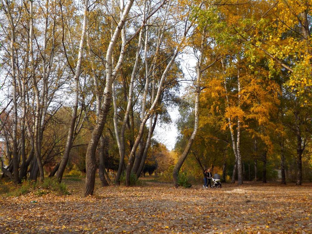 Photograph by Олександр Розум