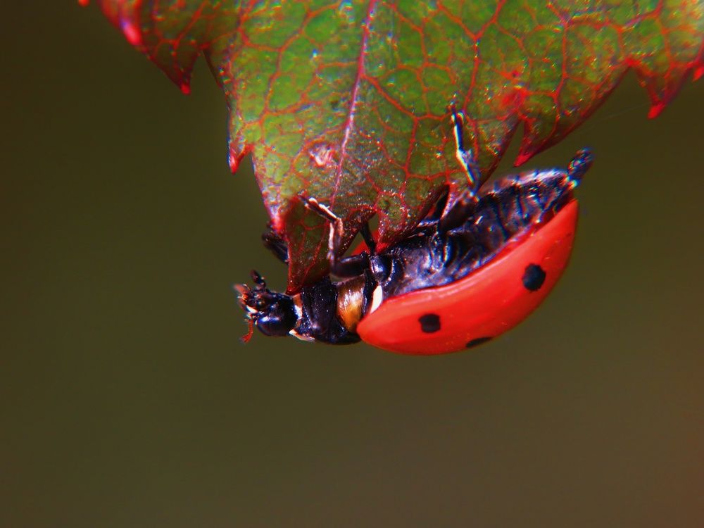 Фотография автора Mahdi Mohammadi