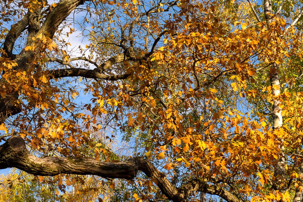 Photograph by Olga Smirnova