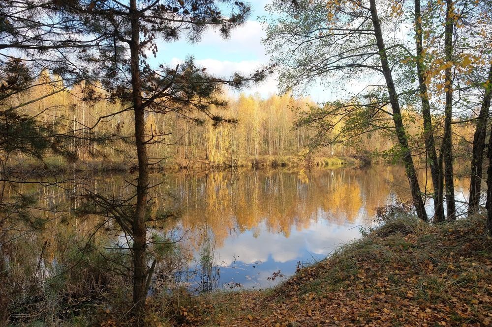 Photograph by Анатолий Люкевич