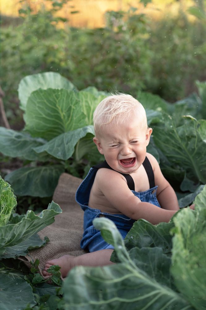 Photograph by Мария Каськова