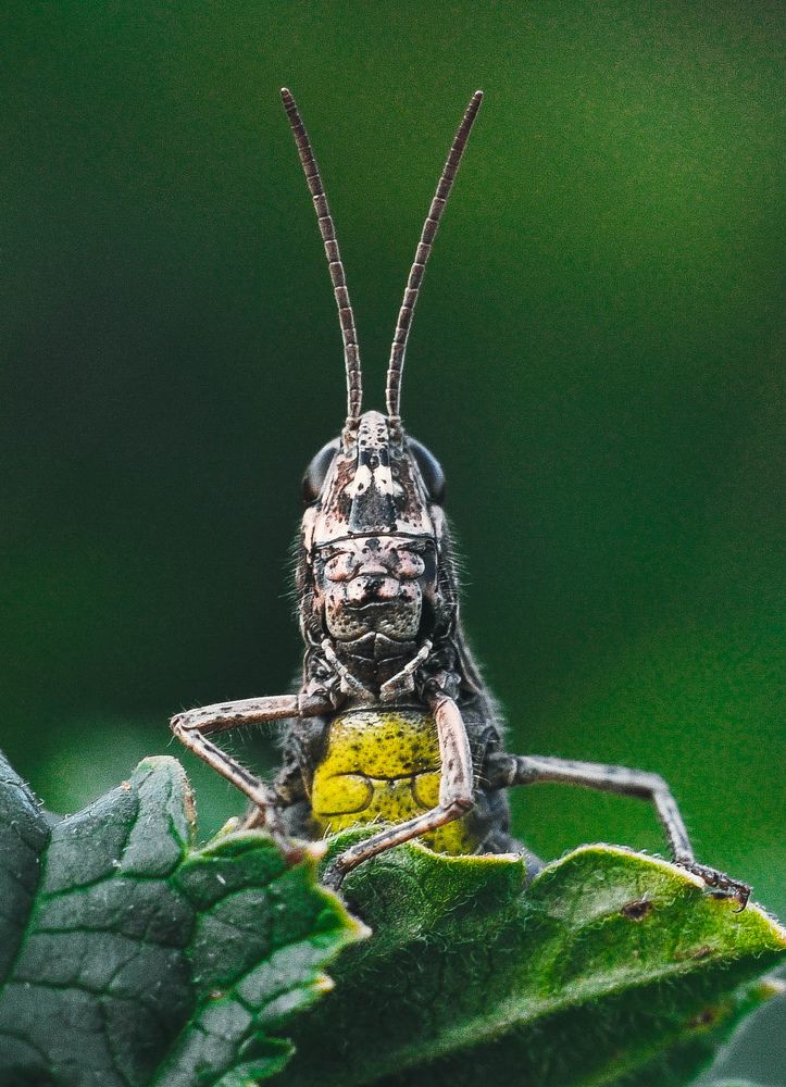 Photograph by Олеся zme