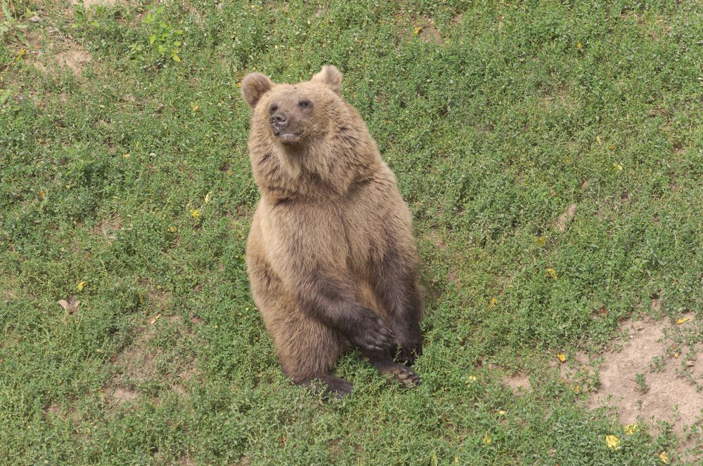 Photograph by Светлана Мельник