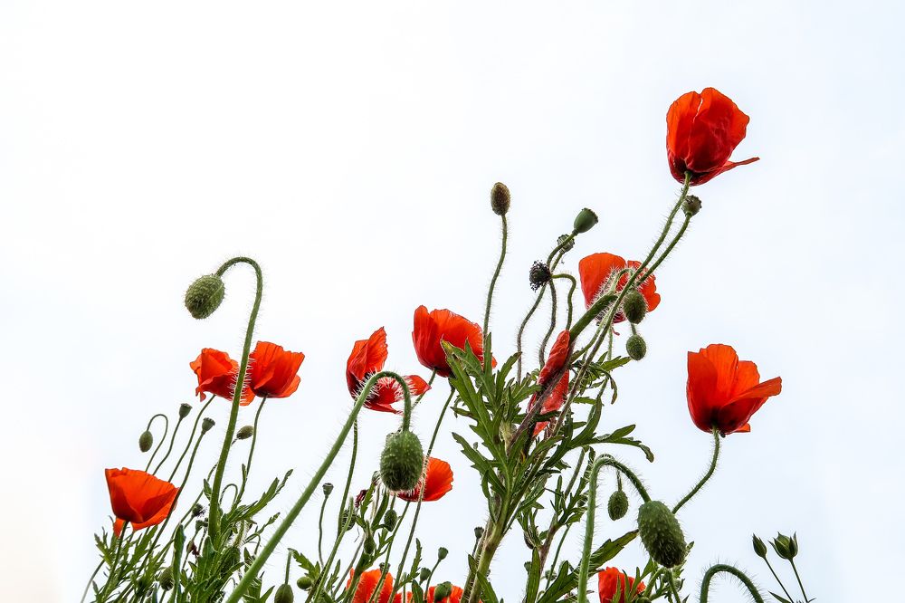 Photograph by Sergejs Barkans