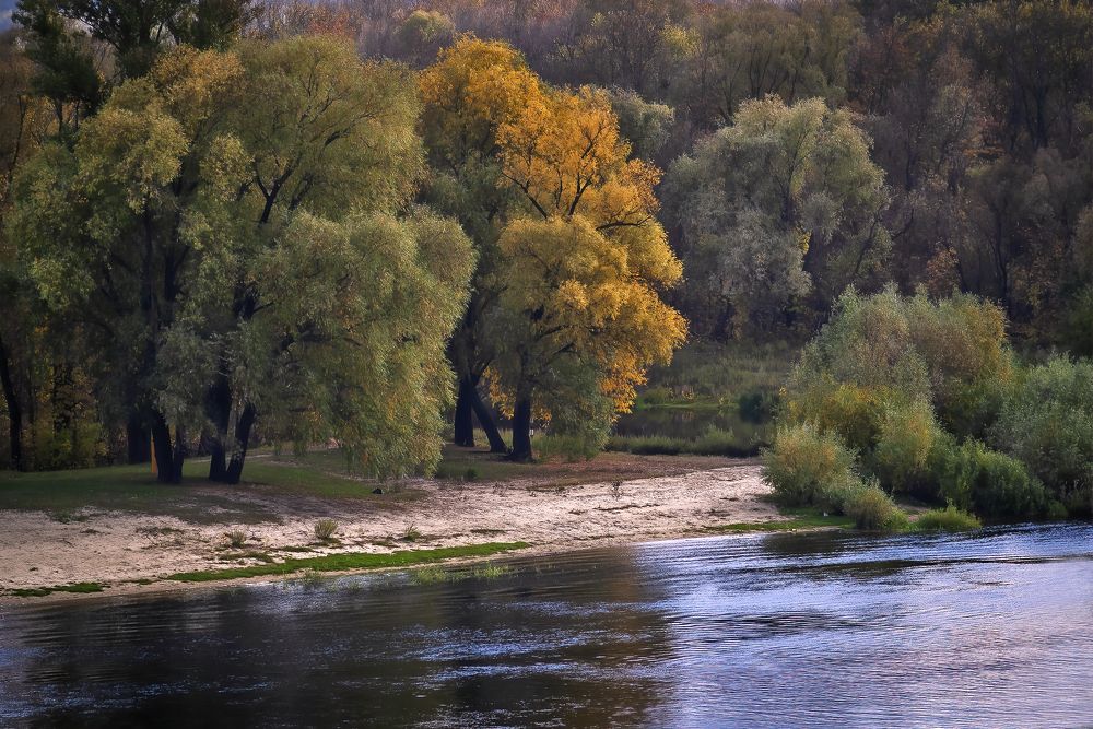 На берегу реки Сож.