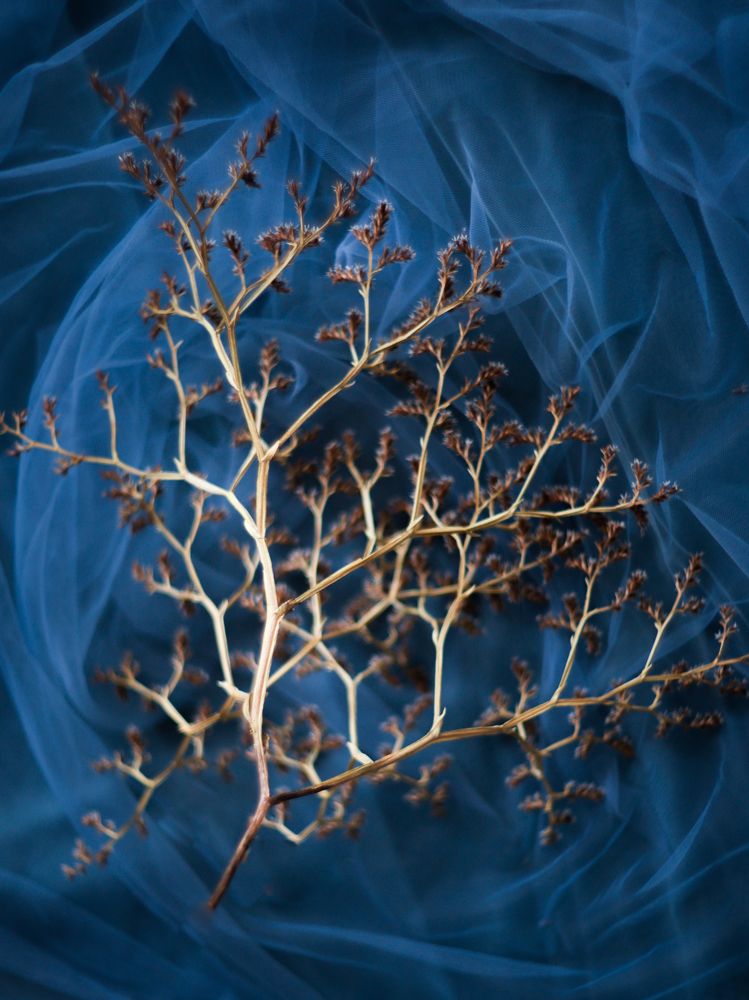 Photograph by Ксения Лаевская