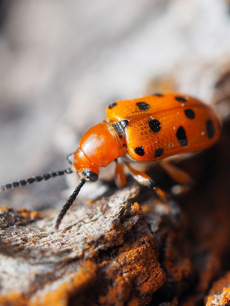 Photograph by Валерий Гришин