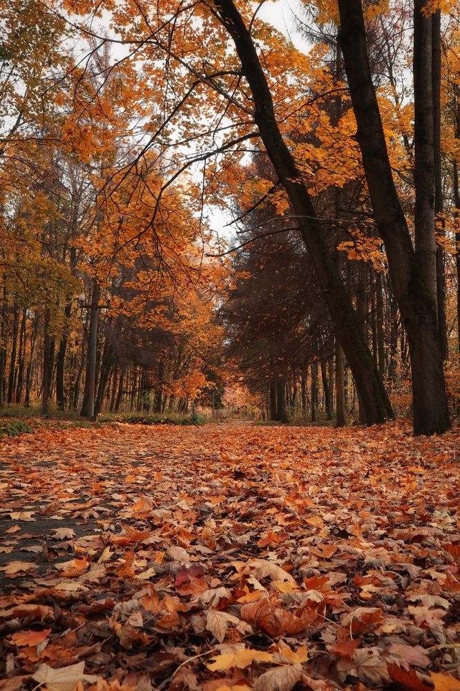 Photograph by Марина Шамич