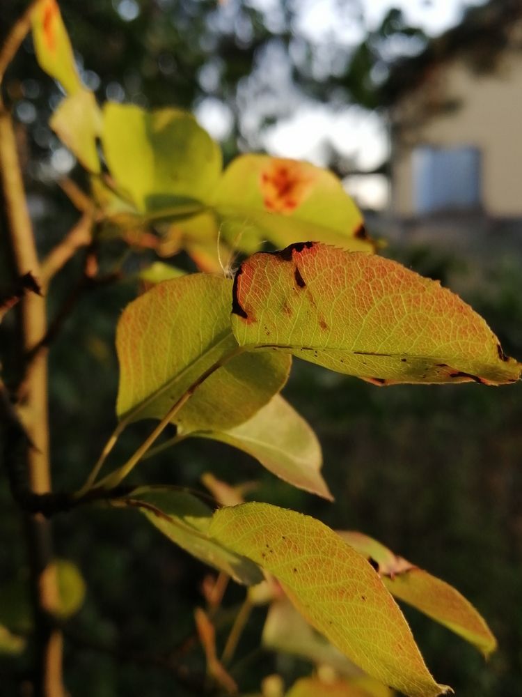 Photograph by Полина Паршина