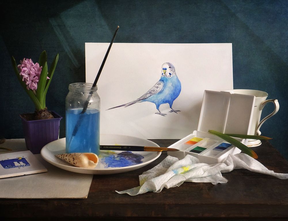 Фотография автора Vera Eremeeva