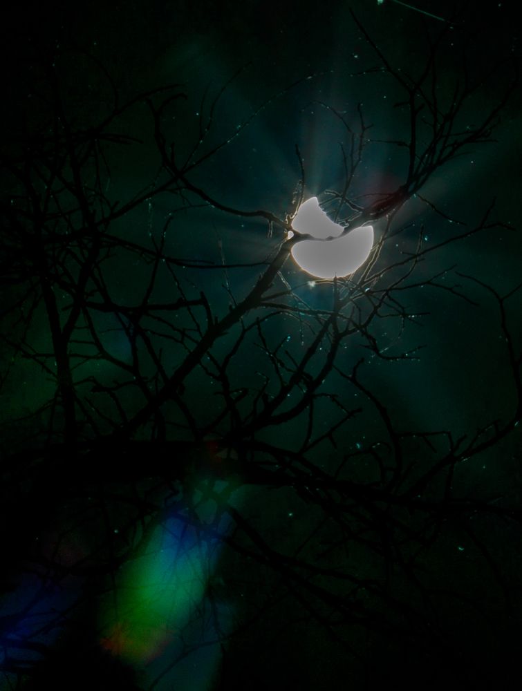 Photograph by Галина Кирикова