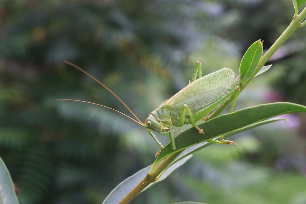 Photograph by Анастасия Рысь