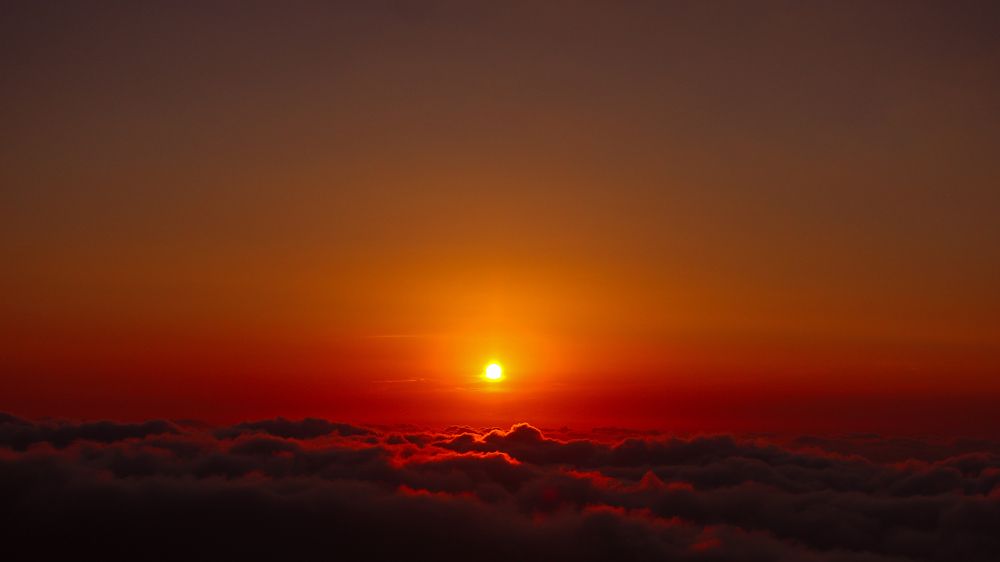 Photograph by Alexandra Sergeeva