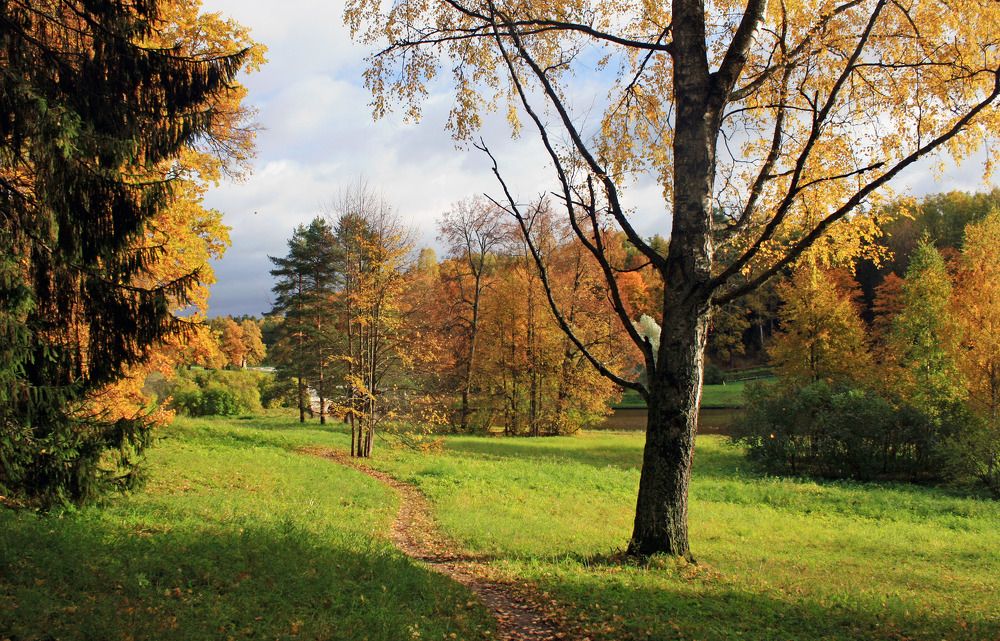 Photograph by Ирина Румянцева