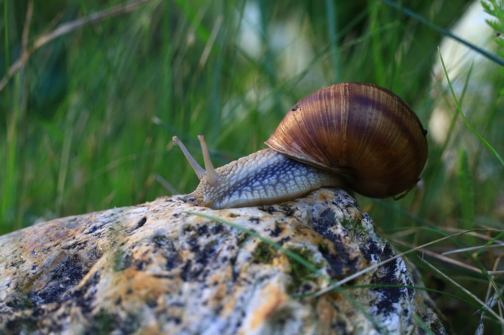 Photograph by Анастасия Рысь