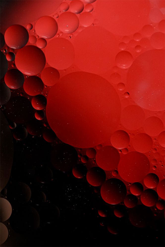 Photograph by irina sherry