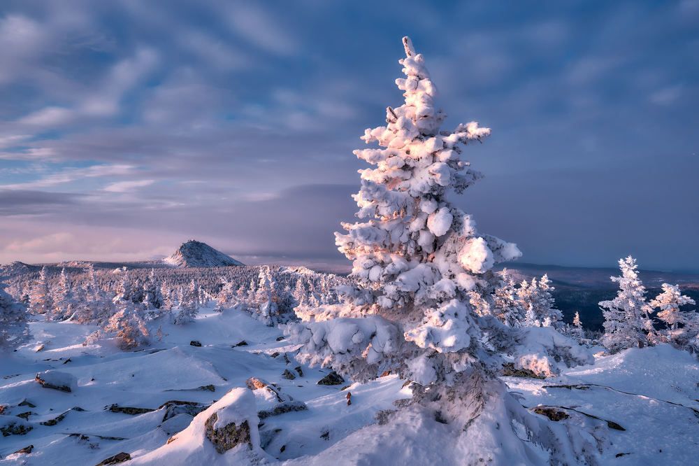 Photograph by Игорь Тымчук