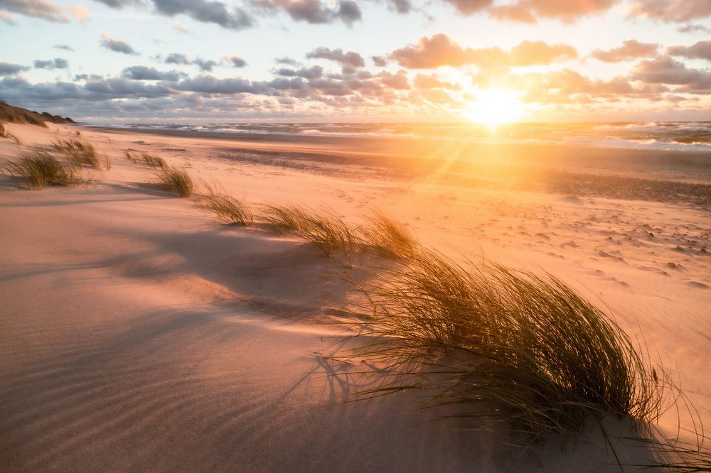 Куршская коса