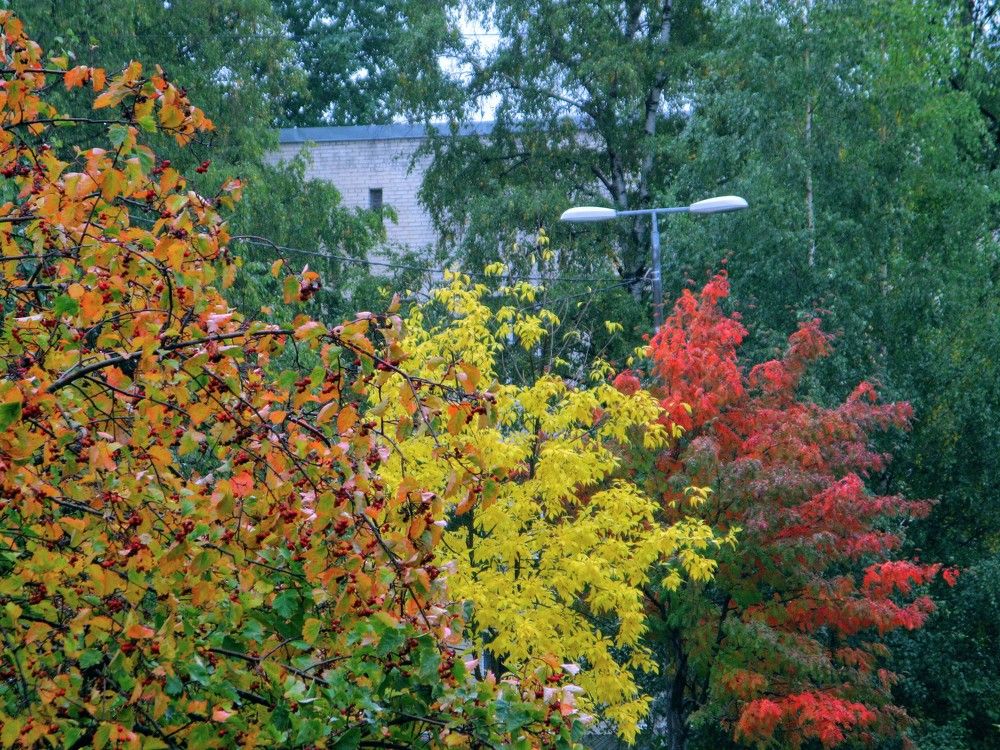 Photograph by Тимофей Петров