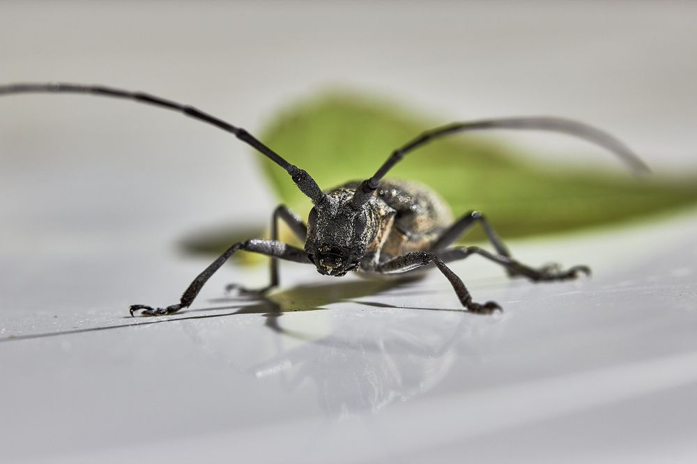 Photograph by Андрей Мясоедов