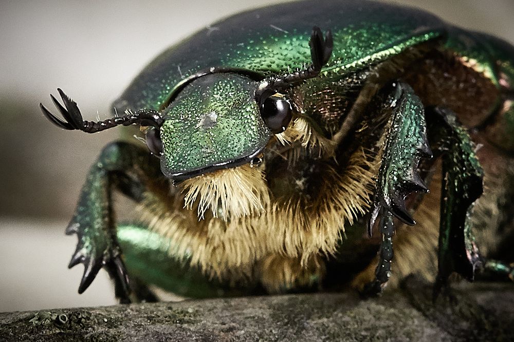 Photograph by Андрей Мясоедов