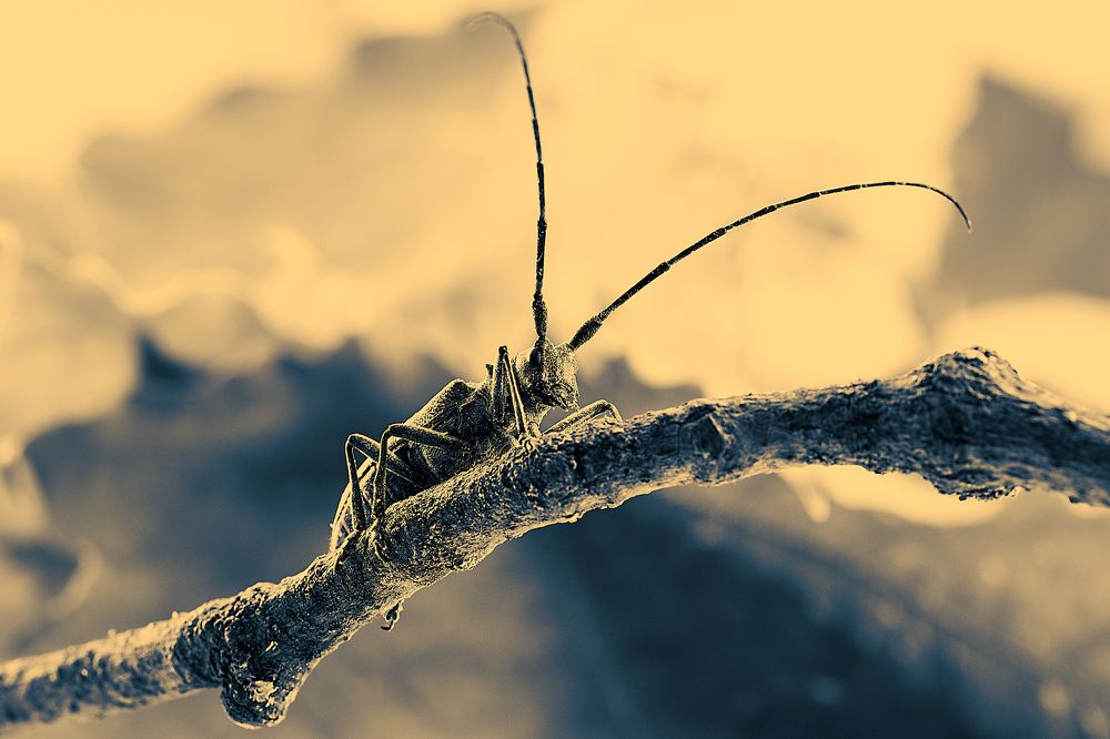 Photograph by Андрей Мясоедов