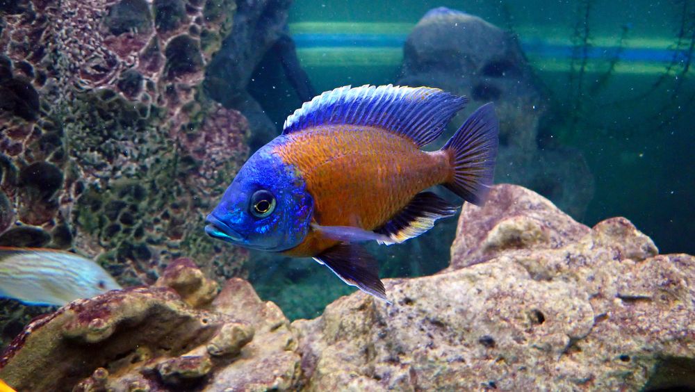 Photograph by Филиппов Олег