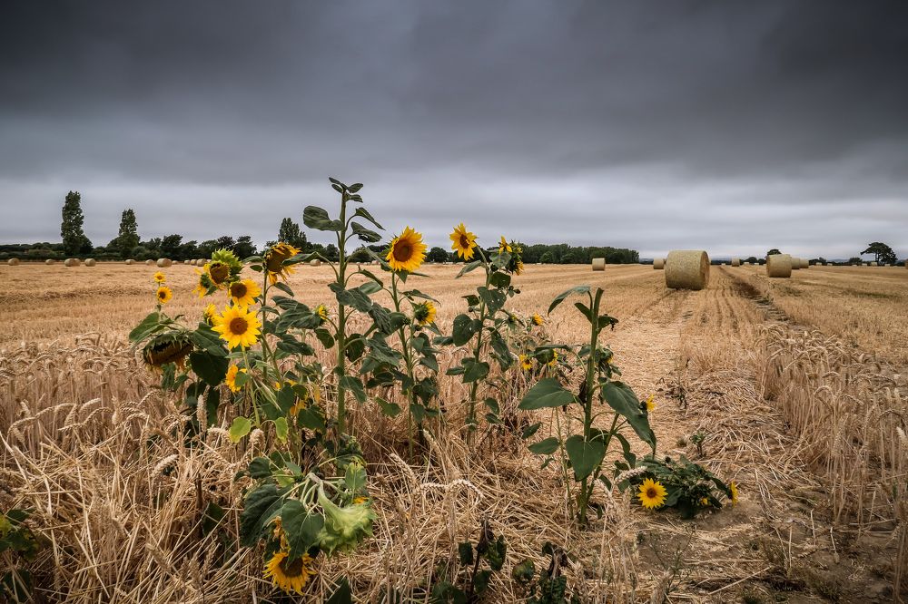 Photograph by Sergejs Barkans