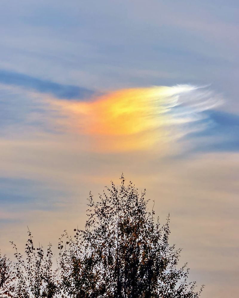 Photograph by Владимир Крылов