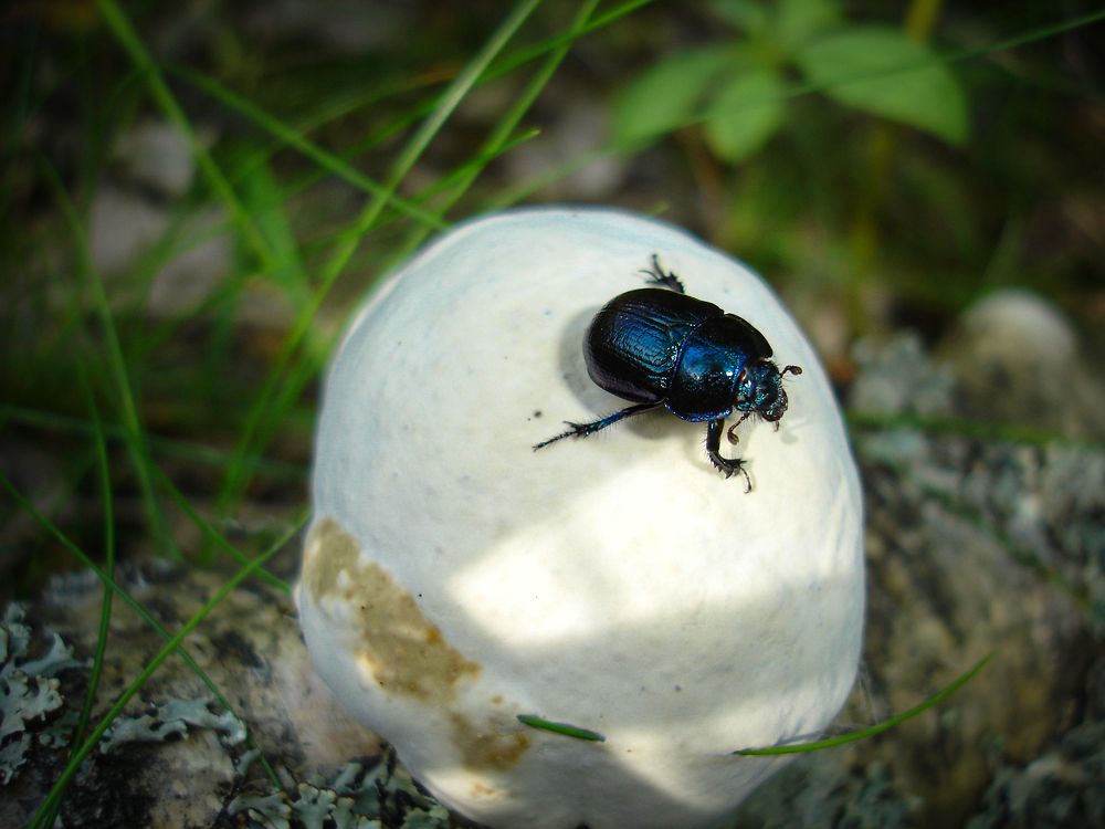 Photograph by Филиппов Олег