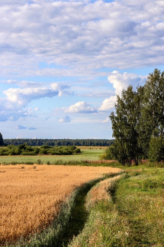 Photograph by Светлана Долгих