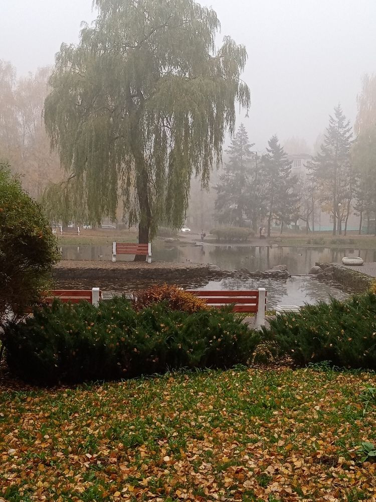 Photograph by Екатерина Кайданова