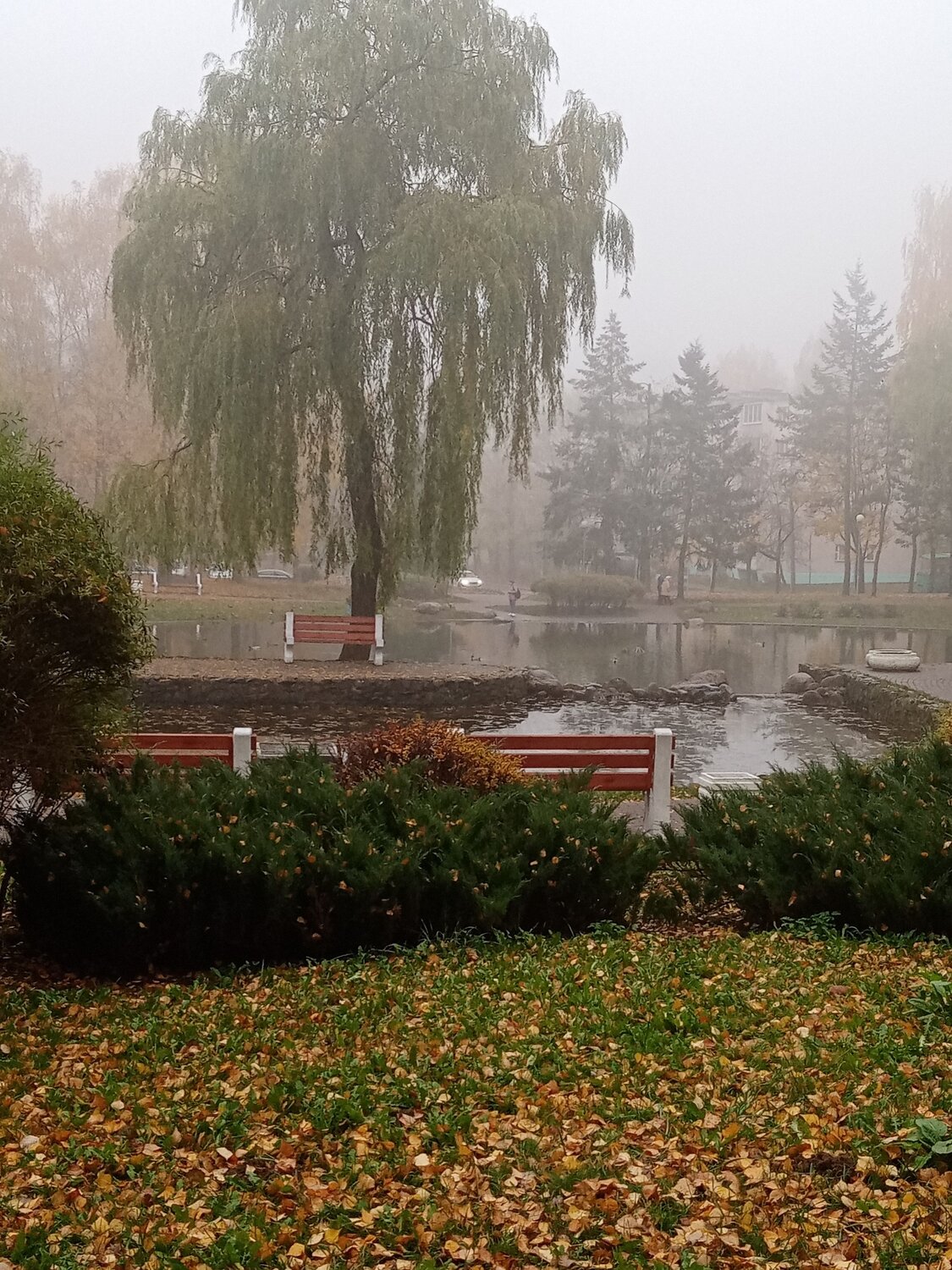 Photo #8278345