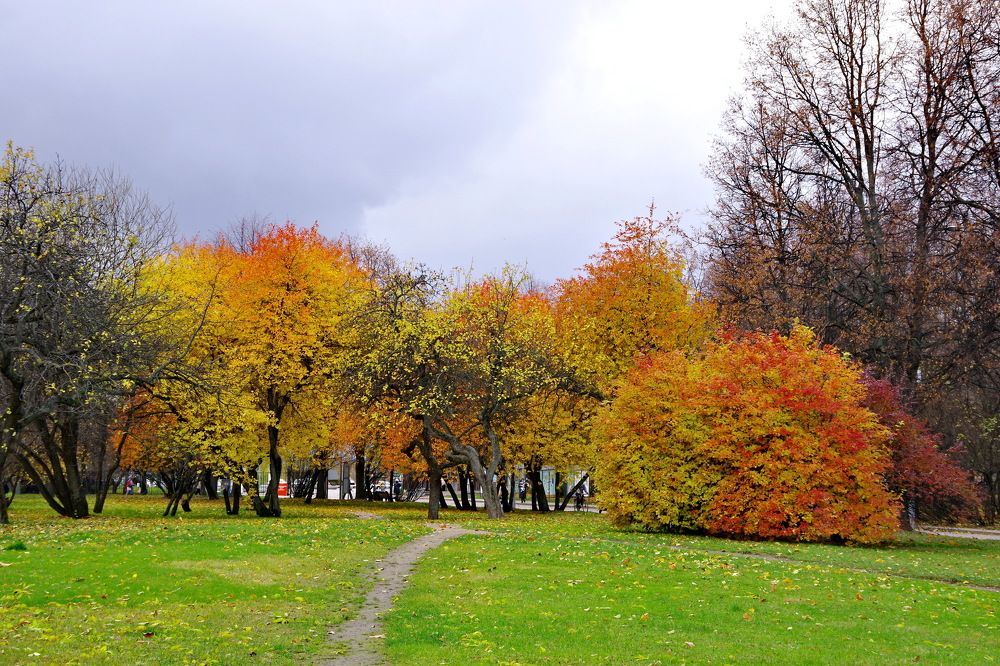 Осень в парке Коломенское